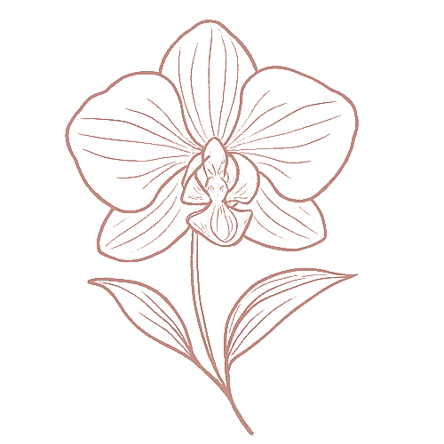 L'Orchidée Rose
